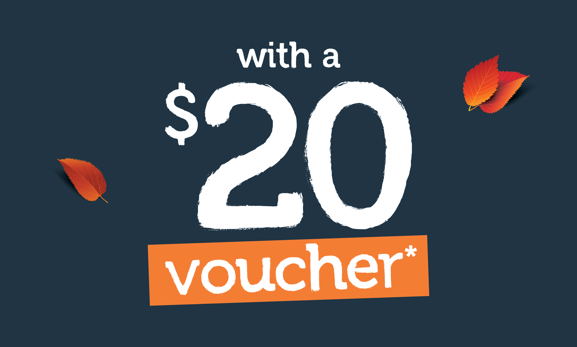 Get a $20 voucher